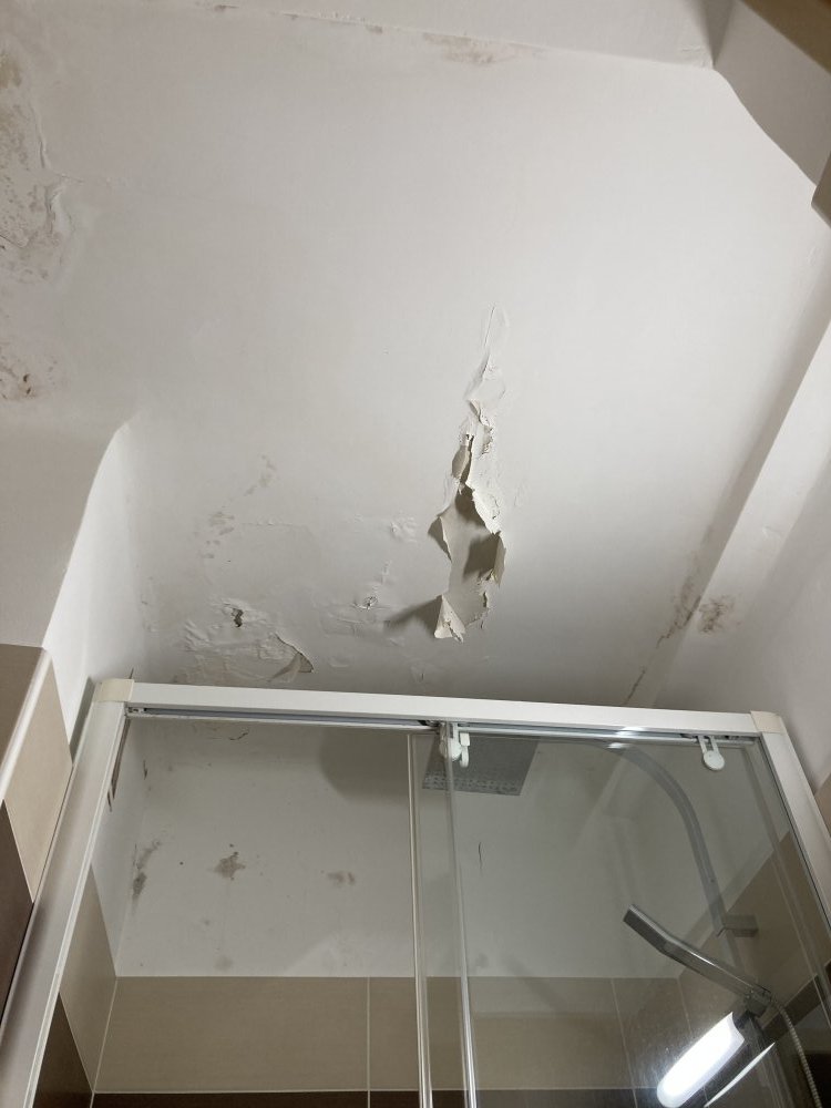 Remise en état d'une salle de bain murs et plafond suite à ...